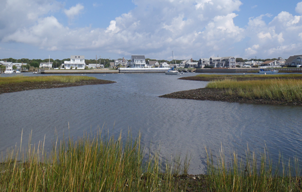 Salt marsh 2