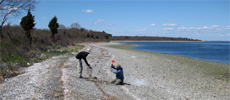 Cobble beach